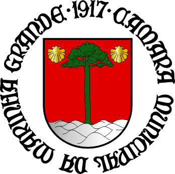 Proposta de brasão para o Município da Marinha Grande - Marinha Grande municipal coat-of-arms proposal