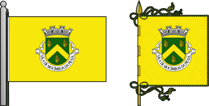 Bandeira e estandarte da circunscrição de Mocímboa da Praia - Mocímboa da Praia circunscription flag and banner Bandeira e estandarte da circunscrição de Mocímboa da Praia - Mocímboa da Praia circunscription flag and banner