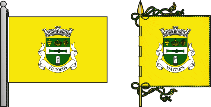Bandeira e estandarte da antiga freguesia de Viatodos - Viatodos former civil parish, flag and banner