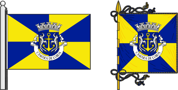 Bandeira e estandarte do Município de Câmara de Lobos - Câmara de Lobos municipal flag and banner Bandeira e estandarte do Município de Câmara de Lobos - Câmara de Lobos municipal flag and banner