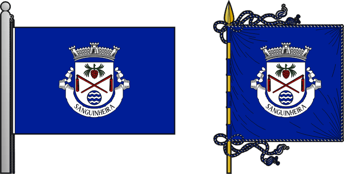 Bandeira e estandarte da freguesia de Sanguinheira - Sanguinheira civil parish, flag and banner Bandeira e estandarte da freguesia de Sanguinheira - Sanguinheira civil parish, flag and banner