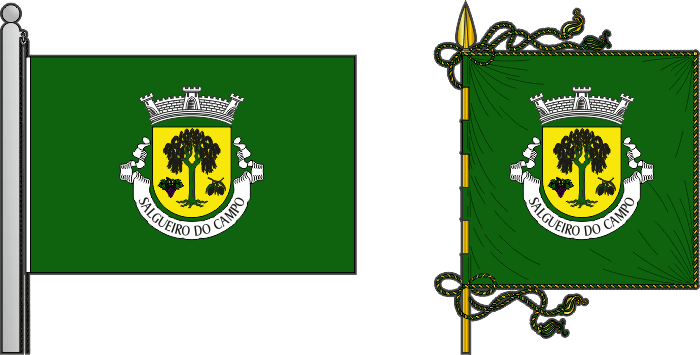 Bandeira e estandarte da freguesia de Salgueiro do Campo - Salgueiro do Campo civil parish, flag and banner Bandeira e estandarte da freguesia de Salgueiro do Campo - Salgueiro do Campo civil parish, flag and banner