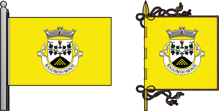 Bandeira e estandarte da freguesia de Baguim do Monte - Baguim do Monte civil parish, flag and banner Bandeira e estandarte da freguesia de Baguim do Monte - Baguim do Monte civil parish, flag and banner