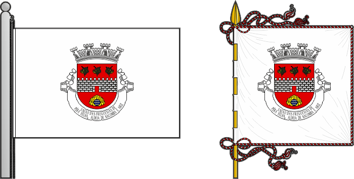 Bandeira e estandarte da União das freguesias de Pêra Velha, Aldeia de Nacomba e Ariz - Pêra Velha, Aldeia de Nacomba and Ariz civil parishes union flag and banner Bandeira e estandarte da União das freguesias de Pêra Velha, Aldeia de Nacomba e Ariz - Pêra Velha, Aldeia de Nacomba and Ariz civil parishes union flag and banner