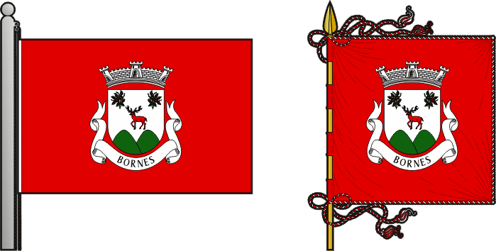 Bandeira e estandarte da antiga freguesia de Bornes - Bornes former civil parish, flag and banner Bandeira e estandarte da antiga freguesia de Bornes - Bornes former civil parish, flag and banner