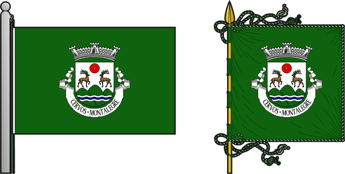 Bandeira e estandarte da freguesia de Cervos - Cervos civil parish, flag and banner