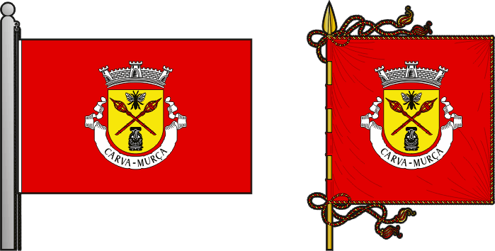 Bandeira e estandarte da antiga freguesia de Carva - Carva former civil parish, flag and banner Bandeira e estandarte da antiga freguesia de Carva - Carva former civil parish, flag and banner