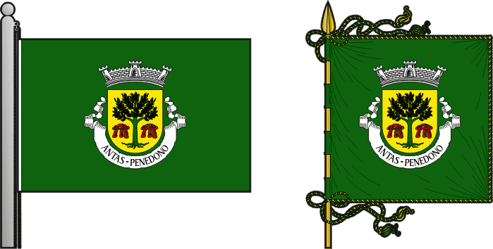 Bandeira e estandarte da antiga freguesia de Antas - Antas former civil parish, flag and banner Bandeira e estandarte da antiga freguesia de Antas - Antas former civil parish, flag and banner