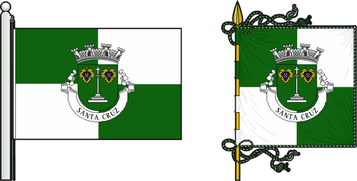 Bandeira e estandarte do Município de Santa Cruz - Santa Cruz municipal flag and banner