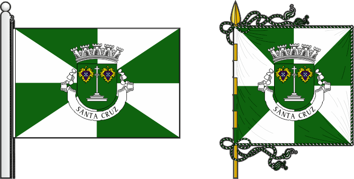 Bandeira e estandarte do Município de Santa Cruz - Santa Cruz municipal flag and banner