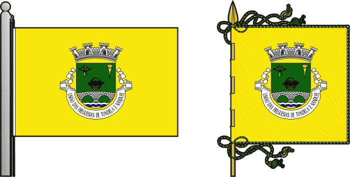 Bandeira e estandarte da União das freguesias de Tondela e Nandufe - Tondela and Nandufe civil parishes union flag and banner