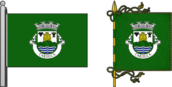 Bandeira e estandarte do Município de Tarouca - Tarouca municipal flag and banner Bandeira e estandarte do Tarouca - Tarouca municipal flag and banner