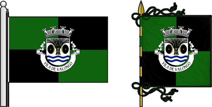 Bandeira e estandarte do Município de Valongo - Valongo municipal flag and banner Bandeira e estandarte do Município de Valongo - Valongo municipal flag and banner