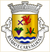 Banho e Carvalhosa (Marco de Canaveses)