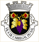 Carregal do Sal