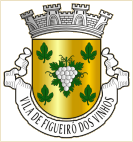 Figueiró dos Vinhos