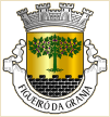 Figueiró da Granja (Fornos de Algodres)