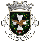 Gavião
