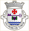 São Pedro de Tomar (Tomar)