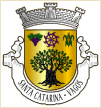 Santa Catarina (Vagos)