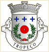 Tropeço (Arouca)